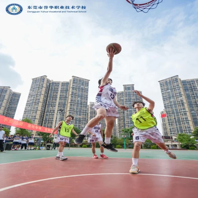 孙颖莎力争卫冕之旅：新挑战中的巅峰对决